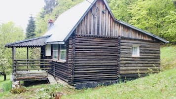 Exteriör