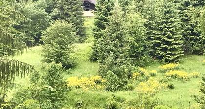 Mountain retreat in Laliki