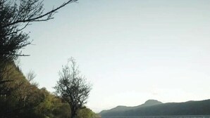 A rocky shoreline with trees and a body of water. - Whisky Cottage, Great location, spacious, sleeps 6 (Inverness)
