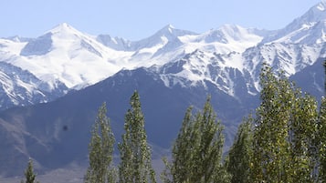 Vista desde la propiedad