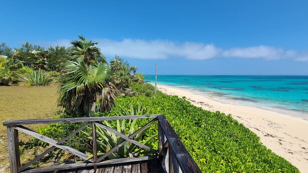 Een strand met een houten looppad dat naar de kust leidt, omgeven door weelderige begroeiing en palmbomen.