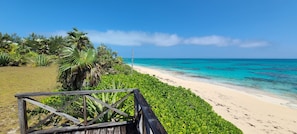 A beach with a wooden walkway leading to the shore, surrounded by lush greenery and palm trees.
