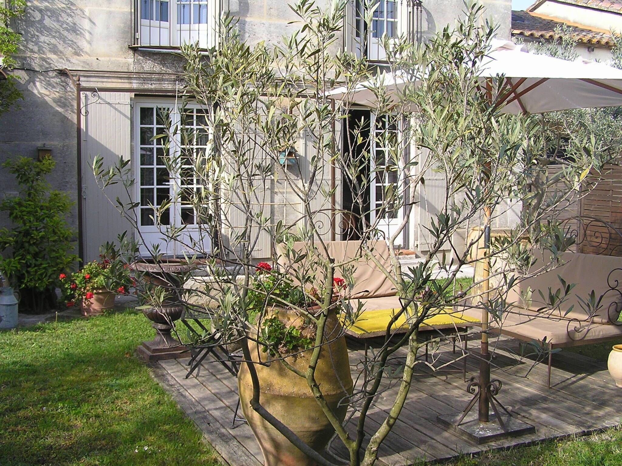 Overnattingsstedets uteområder