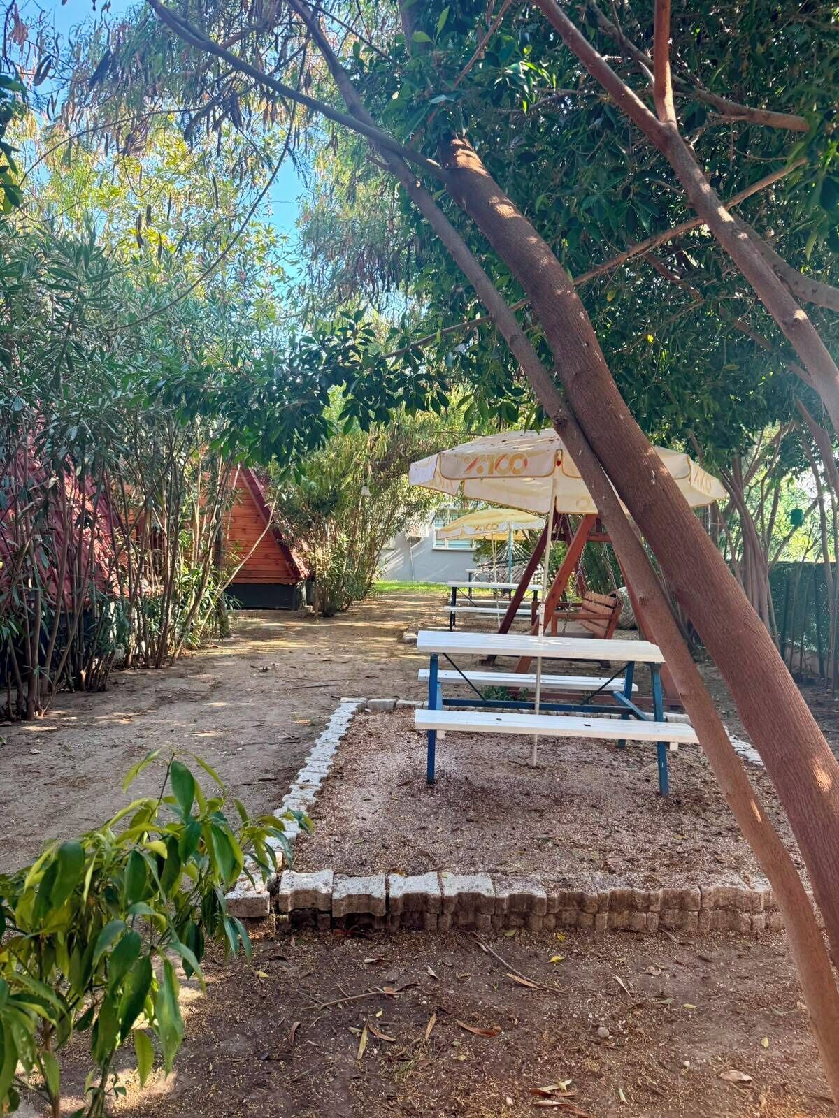 An outdoor seating area with picnic tables and a shaded umbrella, surrounded by trees and a dirt path.