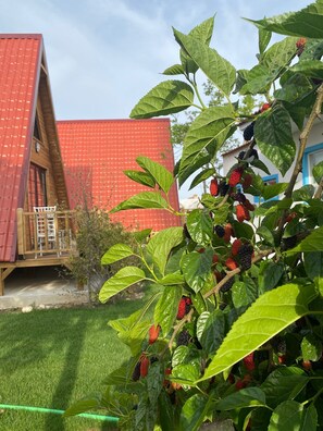 Exterior - Noel Bungalov Cafe (Demre)