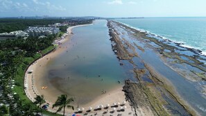 Una playa costera con orilla arenosa, palmeras y sombrillas.