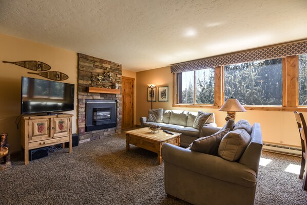 Fireplace, DVD player