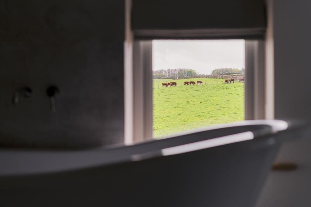 A bathroom with a window overlooking a grassy field with cows.