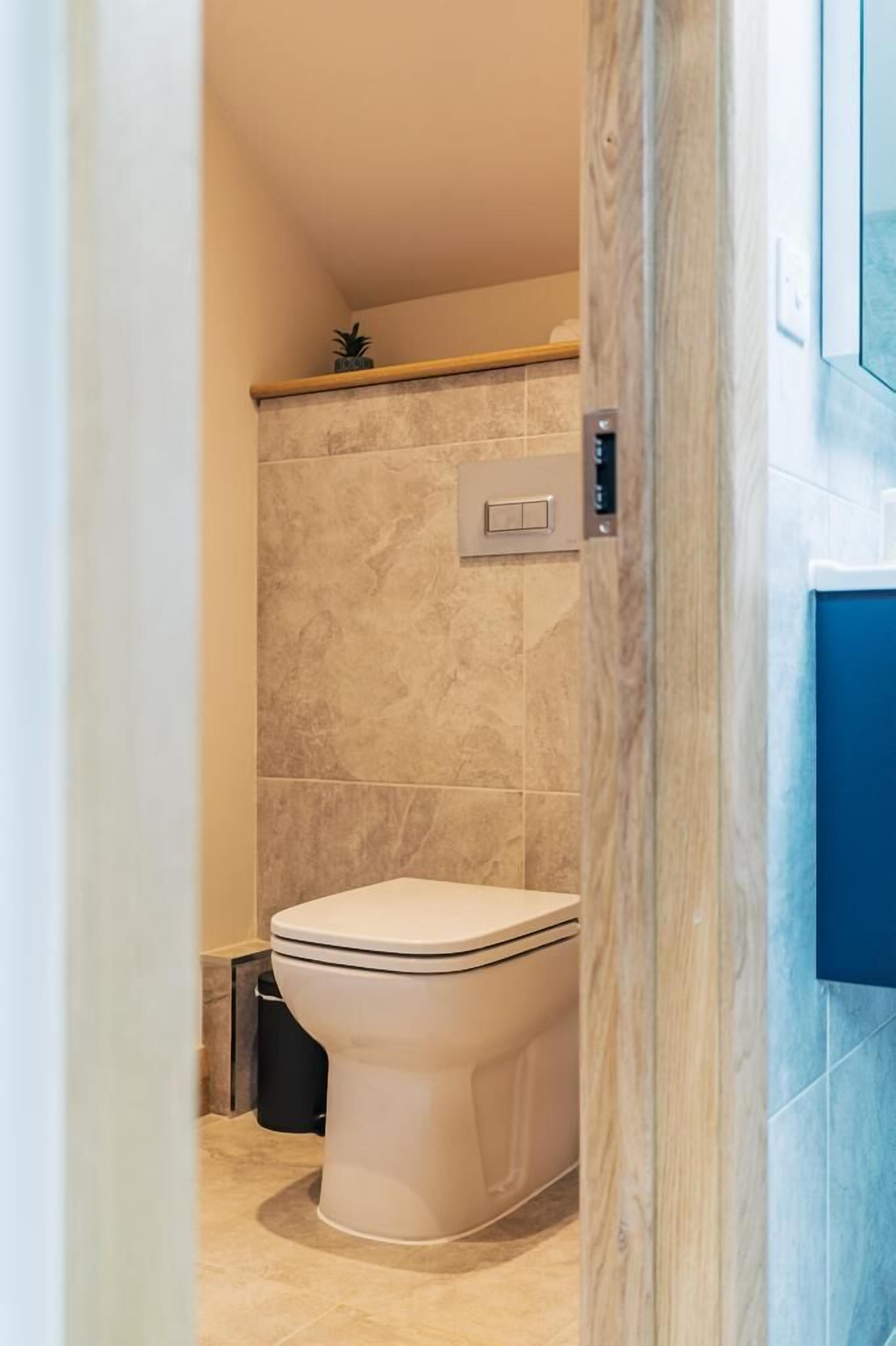 Un baño moderno con inodoro, ducha y un pequeño estante con una planta.
