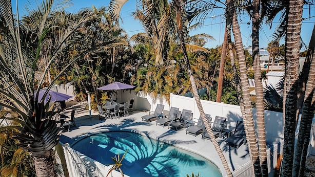 Une piscine entourée de palmiers et de chaises longues.