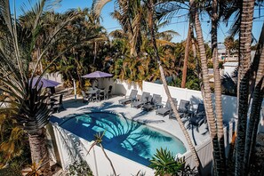 Ein Swimmingpool, umgeben von Palmen und Liegestühlen.
