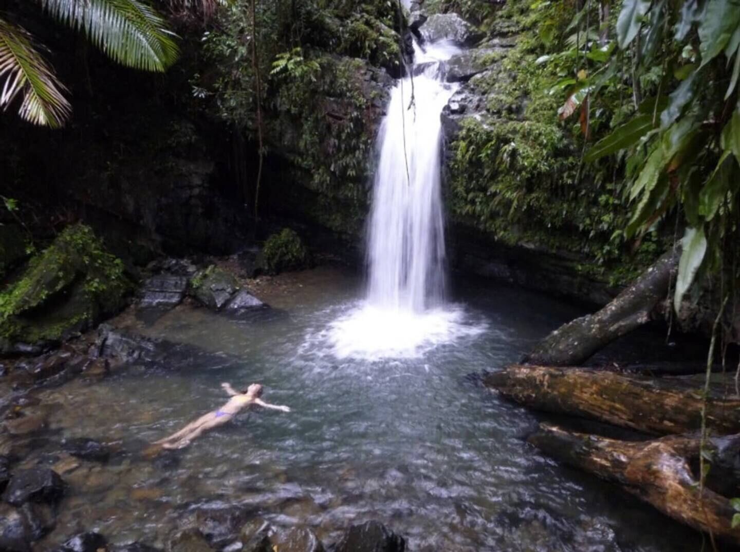 Una cascada en un área boscosa con una persona nadando en el agua.