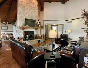 智能电视、壁炉、DVD 播放器、书