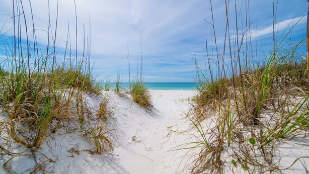 Un sentier de sable qui longe la plage et mène à l’océan, avec de hautes herbes de chaque côté.