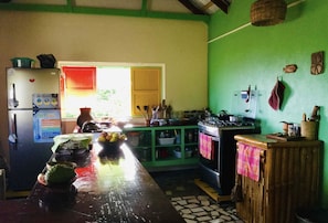 Fridge, oven, stovetop, electric kettle