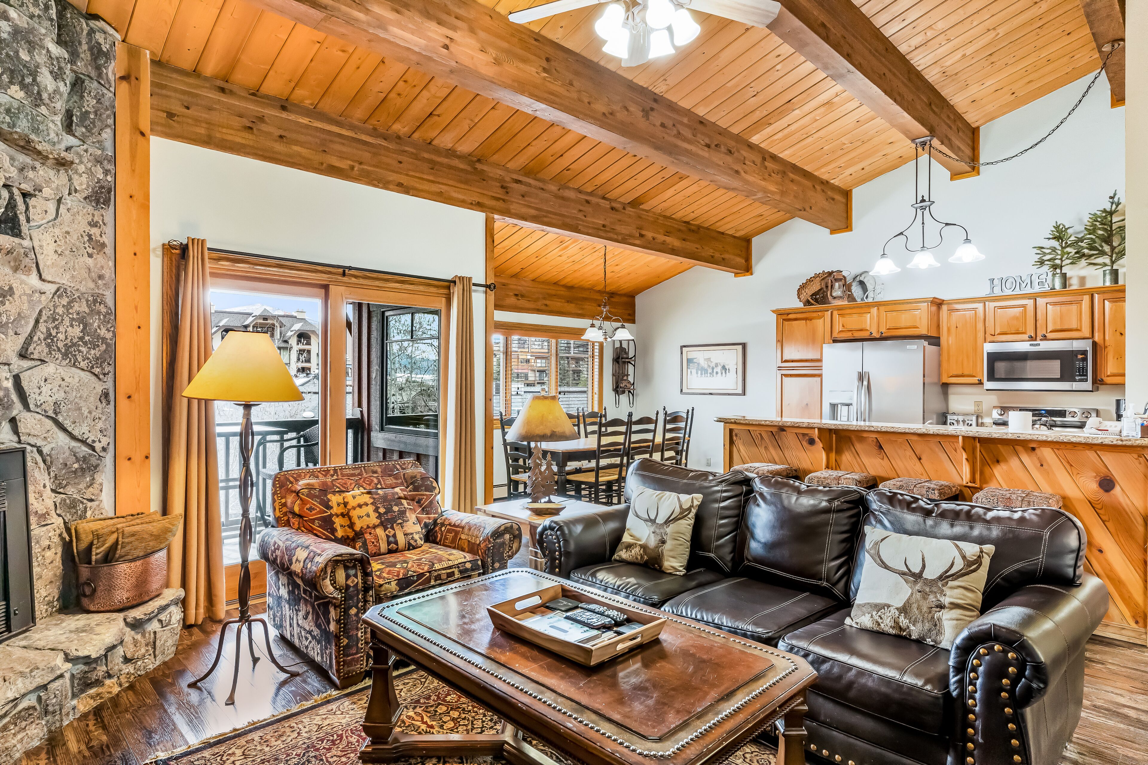 Télévision, cheminée, lecteur de DVD, livres