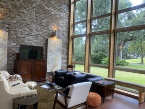 Smart TV, chimenea, reproductor de DVD y libros 