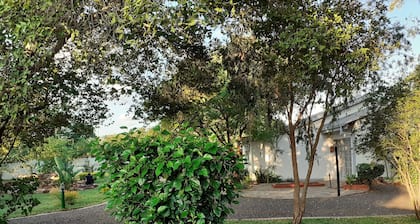 Driftwood Boutique Bed and Breakfast