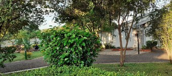 Driftwood Boutique Bed and Breakfast