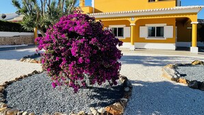 Een gele villa met een grindpad en een grote bougainvillea-struik.