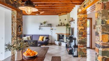 Smart TV, fireplace, books