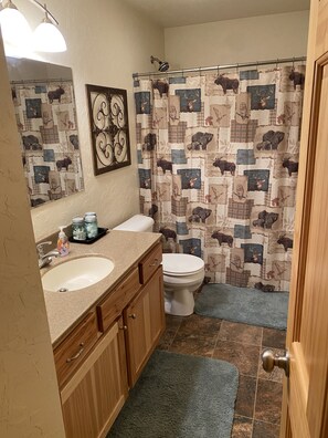 Combined shower/bathtub, towels