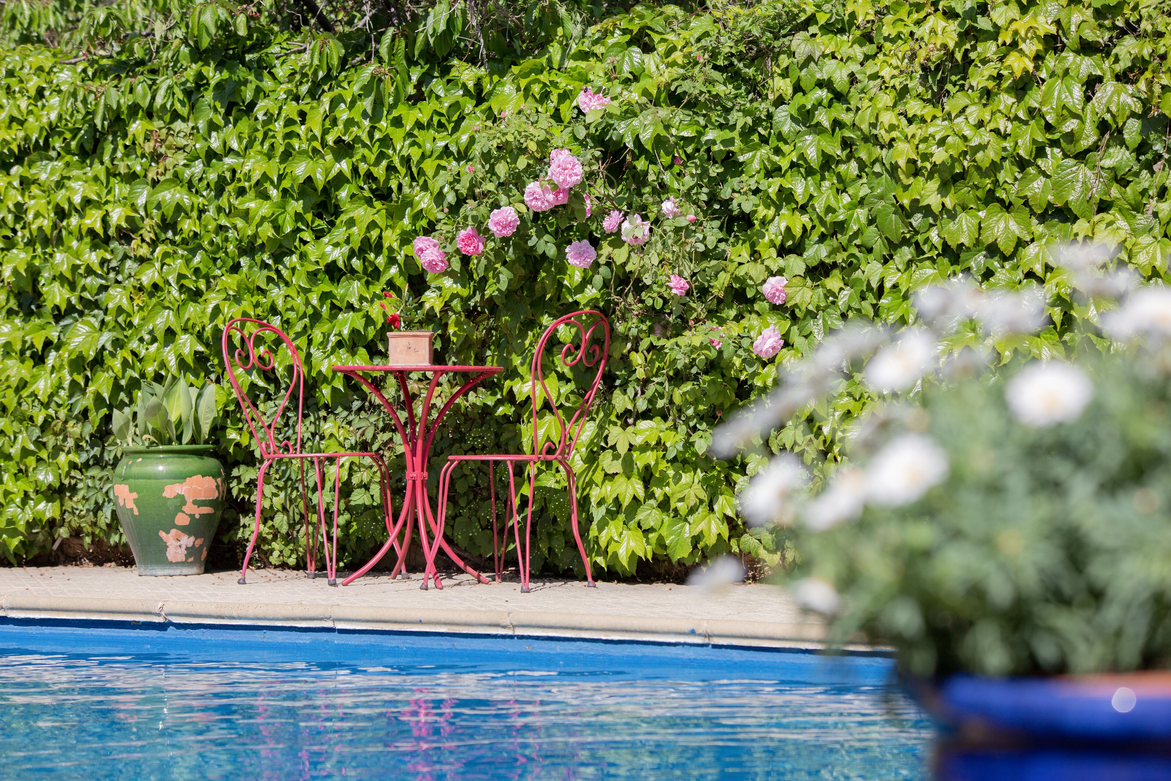 A poolside area with a table and chairs, surrounded by lush greenery and flowering plants.