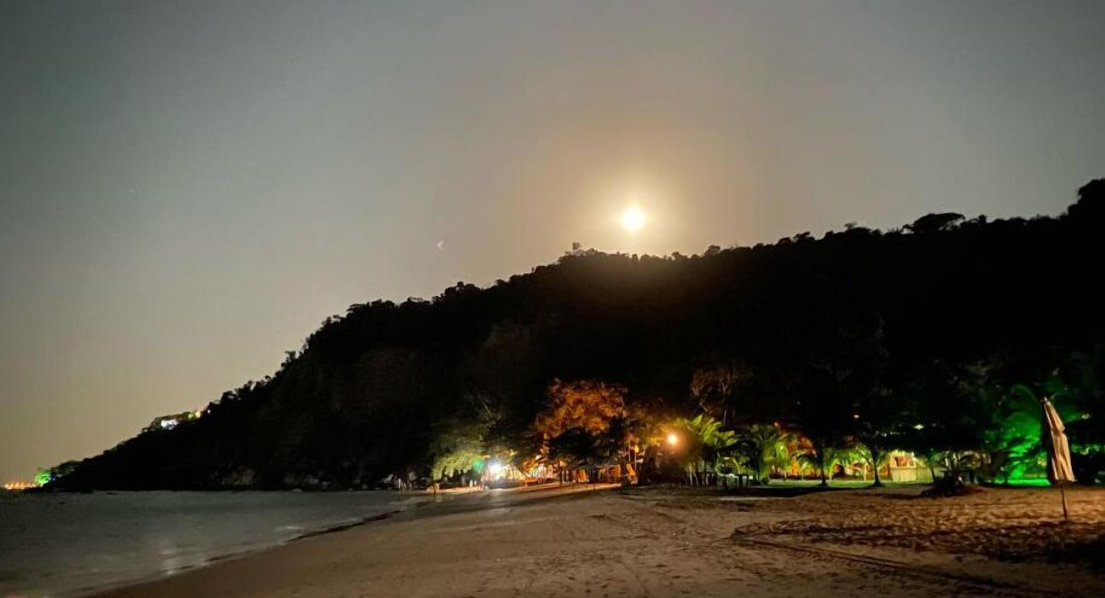 A beach at night with a full moon, trees, and distant lights.