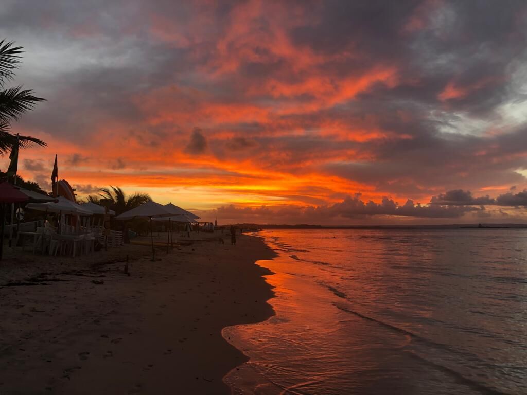A beach with a sunset, palm trees, and beach umbrellas.