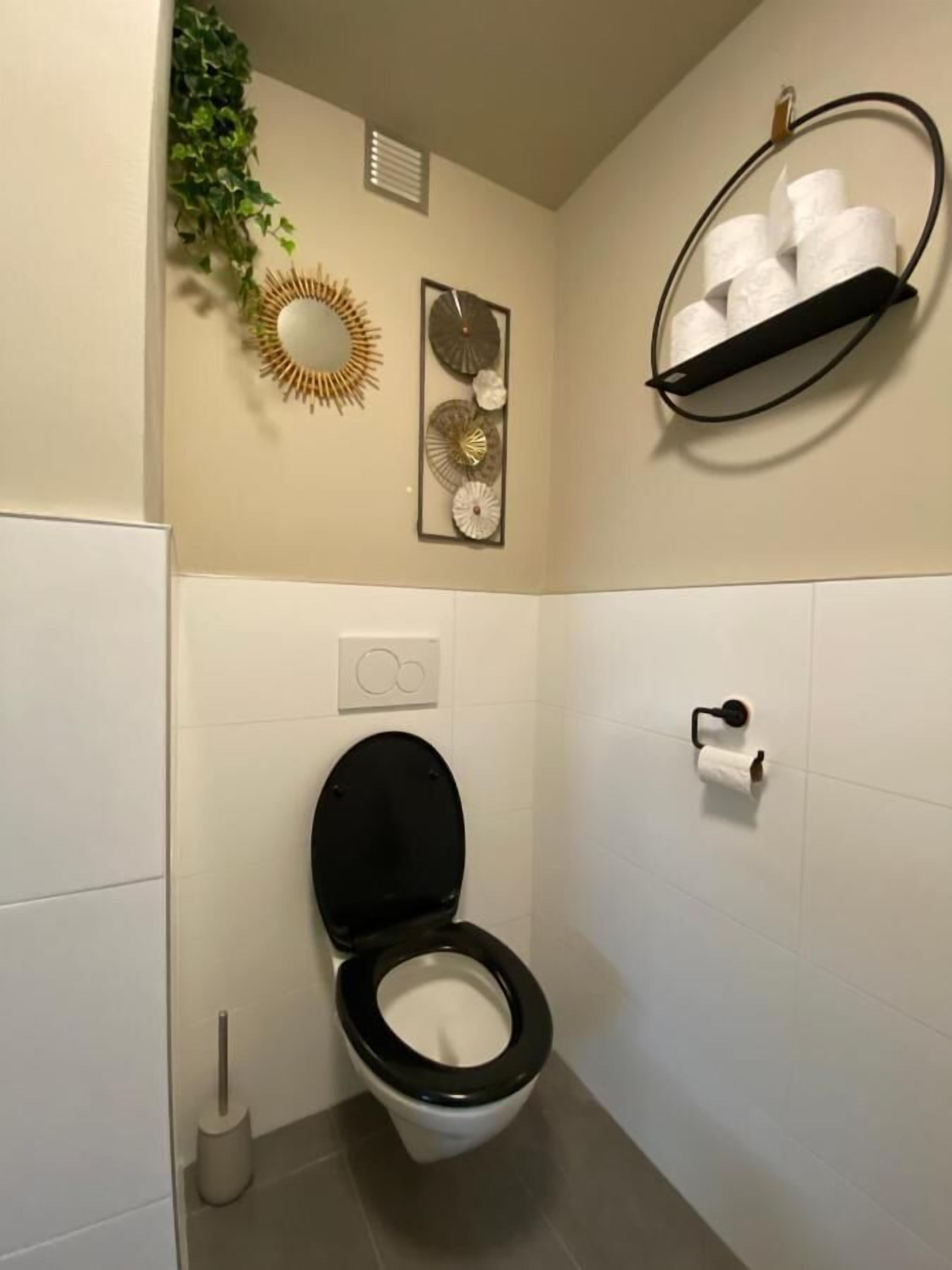 Ett badrum med en toalett, en toalettpappershållare, en vägghylla med toalettpapper, en väggmonterad spegel och en väggmonterad lampa.