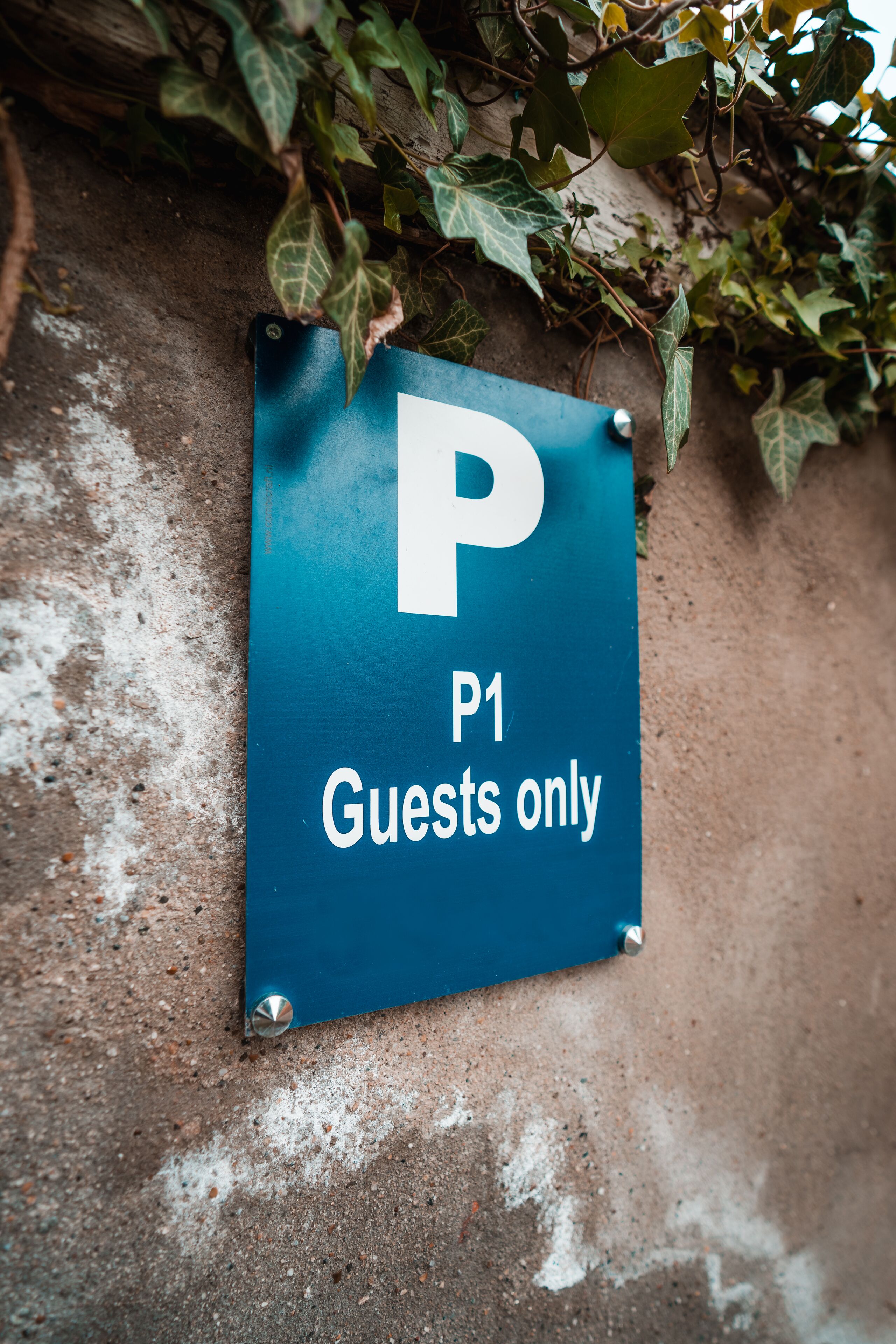 Ein blaues Parkschild mit weißem 'P' und 'P1', das einen Gastparkbereich kennzeichnet.