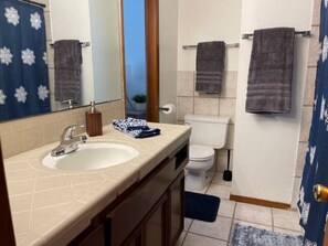 Bathtub, hair dryer, towels, toilet paper