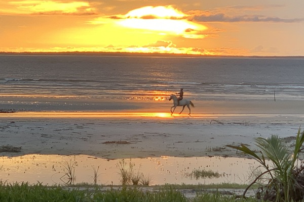 Strand