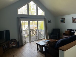 Älytelevisio, videopelejä, kirjoja