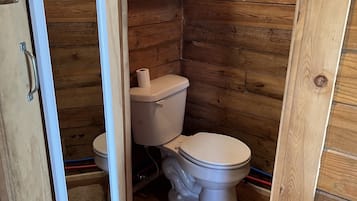 Shower, towels, soap, toilet paper