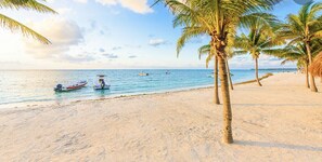 A beach with palm trees, a sandy shore, and a few boats in the water.
