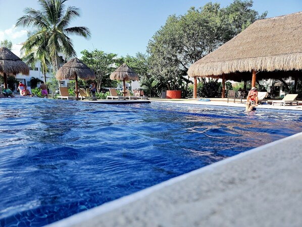 A swimming pool with lounge chairs and thatched-roof structures, surrounded by palm trees and greenery.