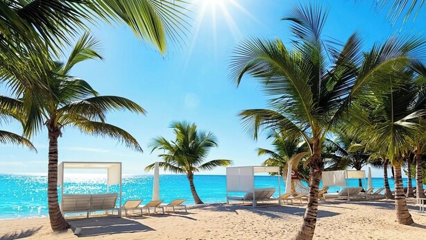 Una playa con palmeras, sillas de descanso y una vista despejada del océano.