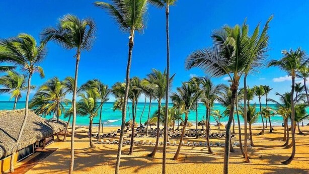A beach with palm trees and a thatched-roof hut.