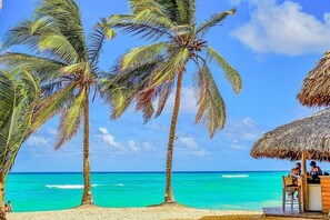 A beach with palm trees and a thatched-roof structure. - 10BR Beach Villa Andiamo with Chef, Jacuzzi and Maid (Punta Cana)