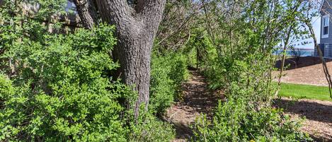 Terrain de lâhĂ©bergement