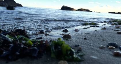 Summertime Fun/clinton CT Shoreline Cottage