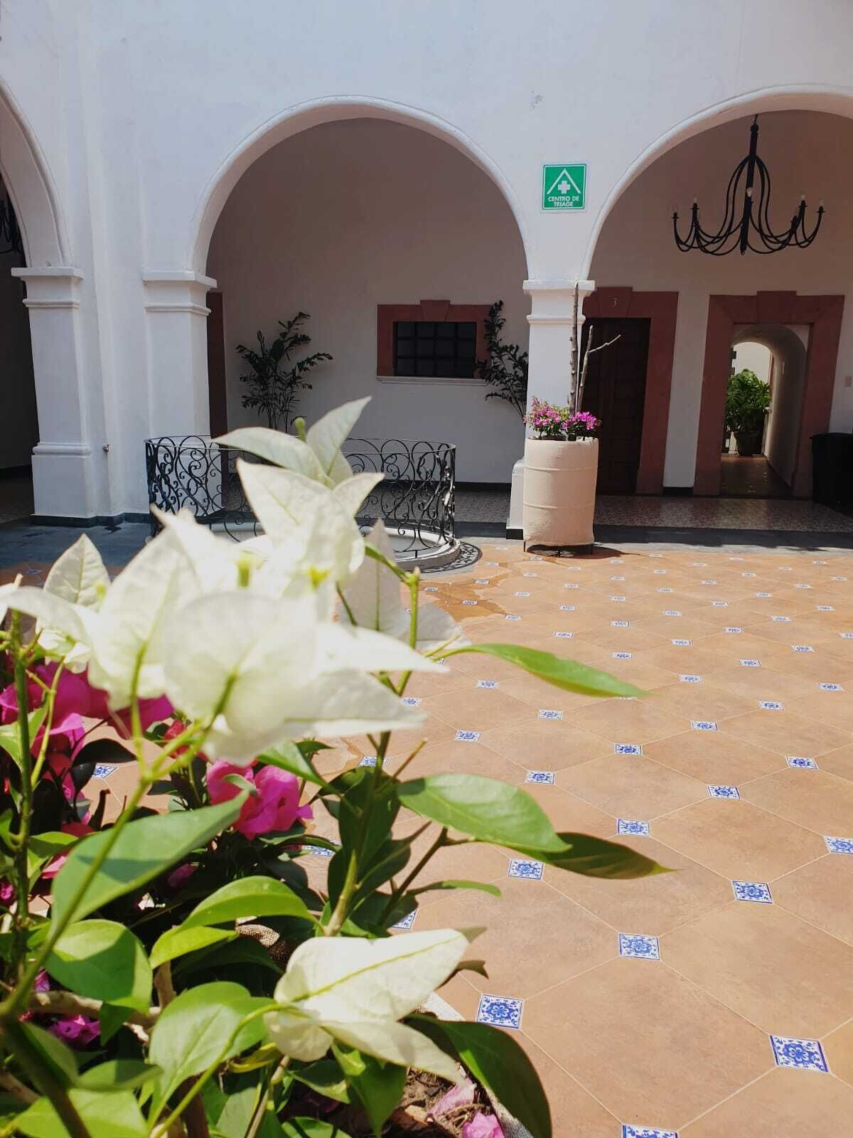 Un patio exterior con arcos, un cartel que indica un centro de excelencia y plantas en macetas.