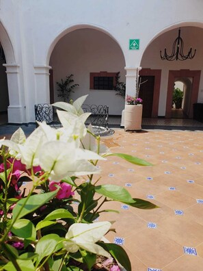 An outdoor courtyard with arches, a sign indicating a center of excellence, and potted plants.