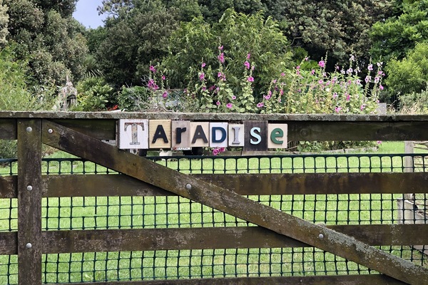 Mm see Dr K kc
  MCC C t