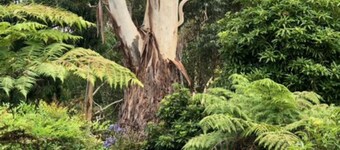 Cottage-Yarra Valley-10 Acres-Breakfast Inc-15 Mins From Healesville & Warburton