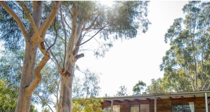 Cottage-Yarra Valley-10 Acres-Breakfast Inc-15 Mins From Healesville & Warburton