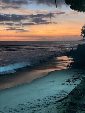 A beach with waves, a sunset, and a palm tree.