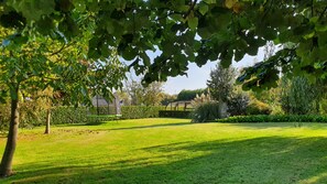 Une pelouse verdoyante et bien entretenue, agrémentée d’un trampoline, entourée d’arbres adultes et d’une haie.