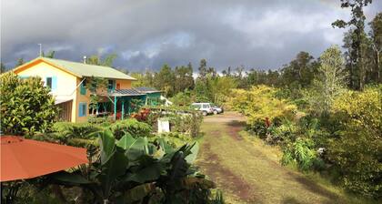 Convenient comfortable studio in peaceful tropical forest G7